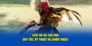 luat-da-ga-cua-dao-quy-tac-ky-thuat-va-chien-thuat